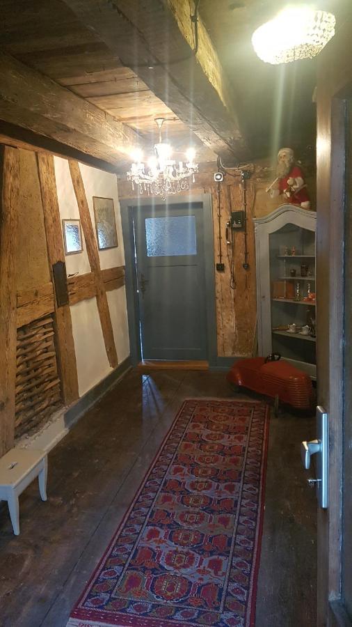 Historisches Fachwerkhaus "Hoher Hirschen" - Stilvolles Studio Und Museales Apartment Mit Romantischem Hof Und Garten Bodman-Ludwigshafen Esterno foto